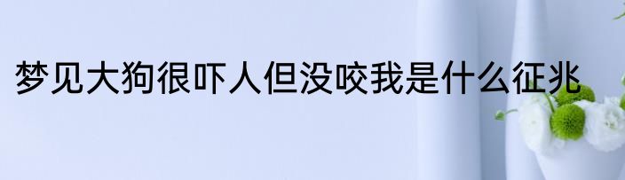 梦见大狗很吓人但没咬我是什么征兆