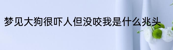 梦见大狗很吓人但没咬我是什么兆头