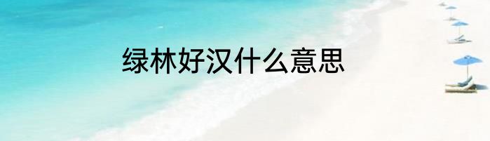 绿林好汉什么意思