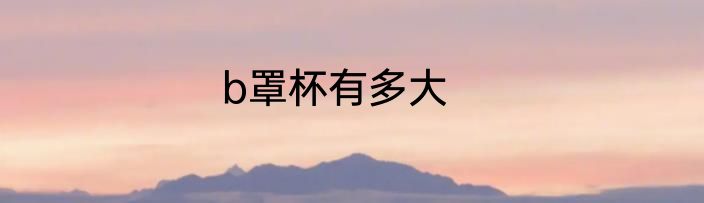 b罩杯有多大