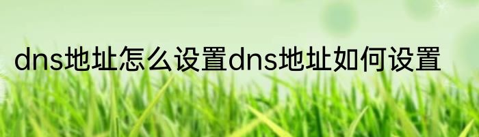 dns地址怎么设置dns地址如何设置
