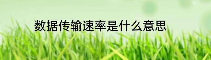 数据传输速率是什么意思