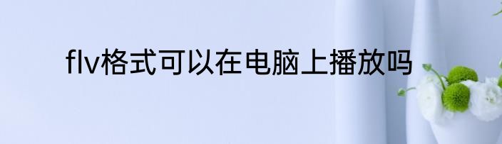 flv格式可以在电脑上播放吗