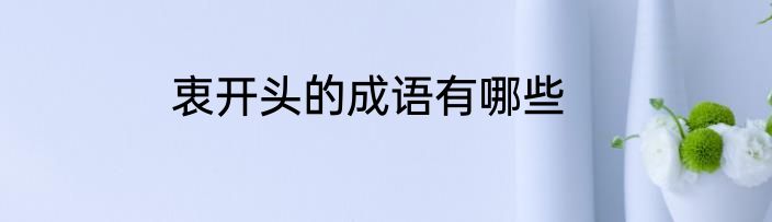 衷开头的成语有哪些