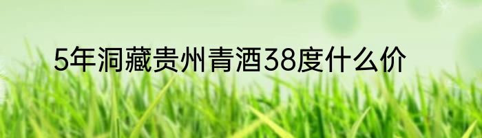 5年洞藏贵州青酒38度什么价