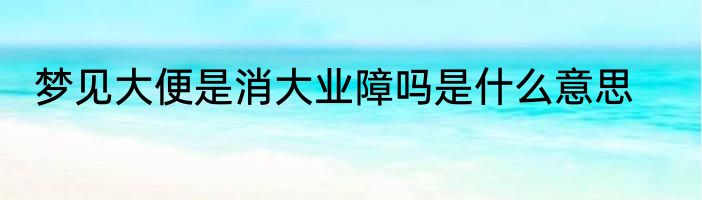 梦见大便是消大业障吗是什么意思