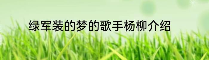 绿军装的梦的歌手杨柳介绍