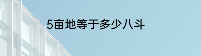 5亩地等于多少八斗