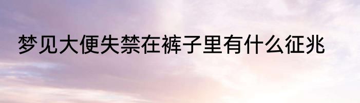 梦见大便失禁在裤子里有什么征兆