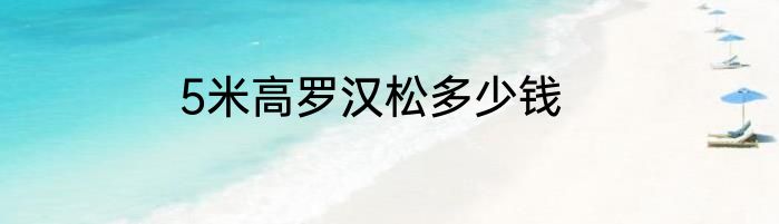 5米高罗汉松多少钱