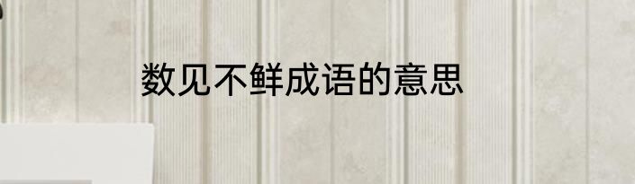数见不鲜成语的意思