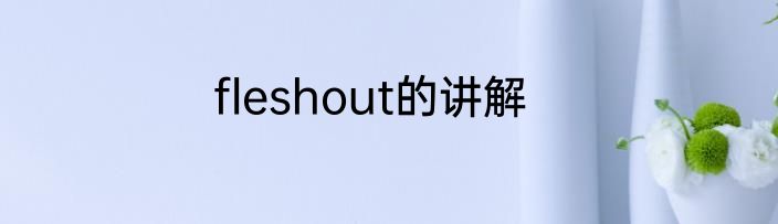fleshout的讲解