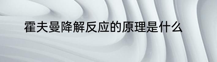 霍夫曼降解反应的原理是什么