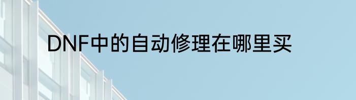 DNF中的自动修理在哪里买