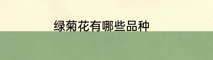 绿菊花有哪些品种