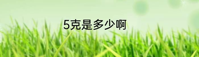 5克是多少啊