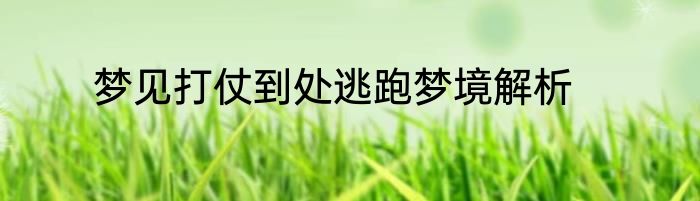 梦见打仗到处逃跑梦境解析