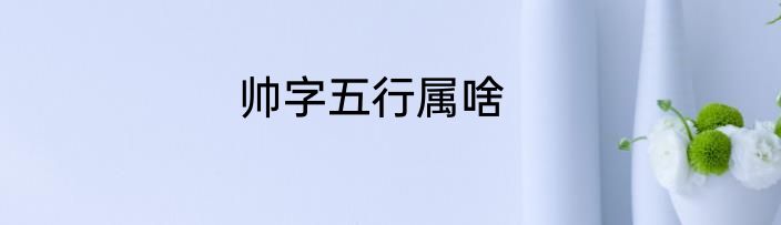 帅字五行属啥