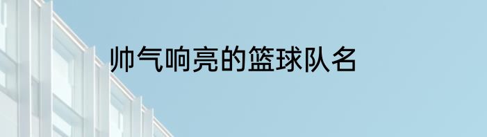 帅气响亮的篮球队名