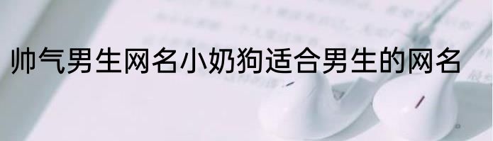 帅气男生网名小奶狗适合男生的网名