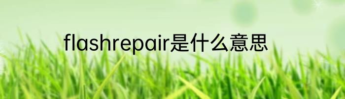 flashrepair是什么意思
