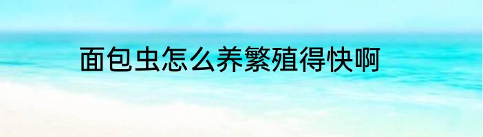 面包虫怎么养繁殖得快啊