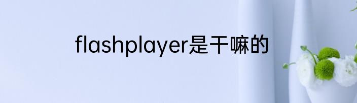 flashplayer是干嘛的