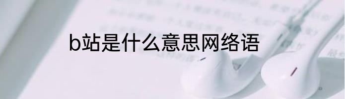 b站是什么意思网络语