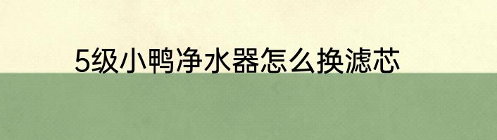 5级小鸭净水器怎么换滤芯