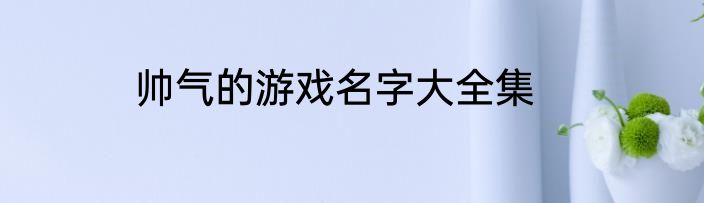 帅气的游戏名字大全集
