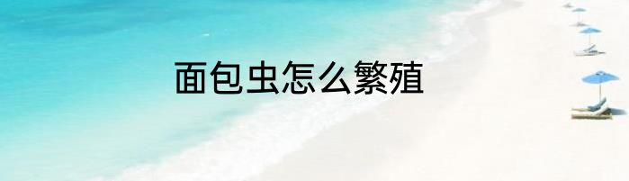 面包虫怎么繁殖