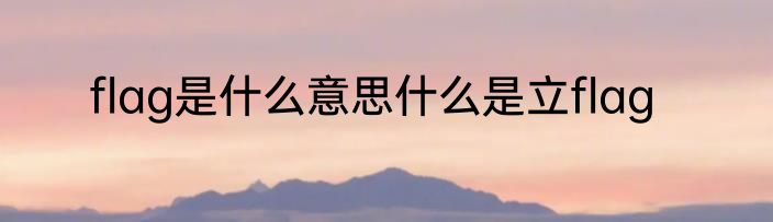 flag是什么意思什么是立flag