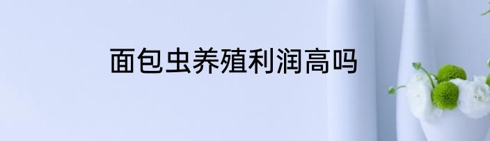 面包虫养殖利润高吗
