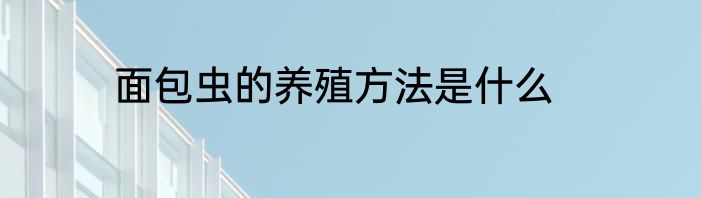 面包虫的养殖方法是什么