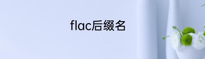 flac后缀名
