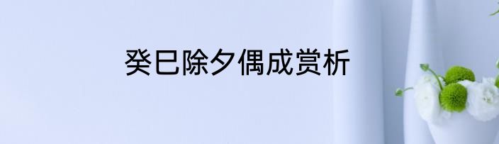 癸巳除夕偶成赏析