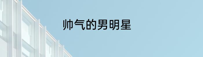 帅气的男明星