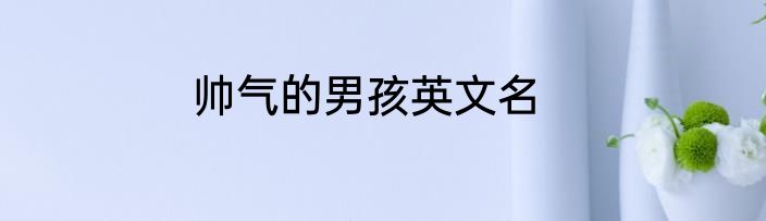 帅气的男孩英文名