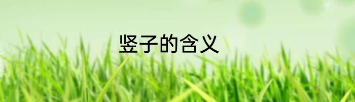 竖子的含义