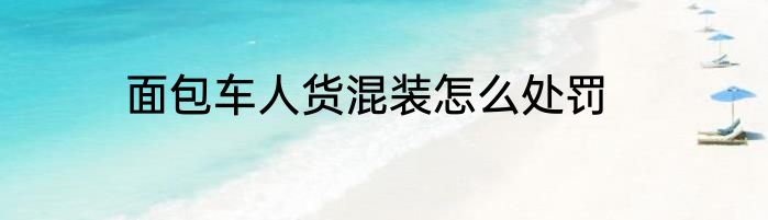 面包车人货混装怎么处罚