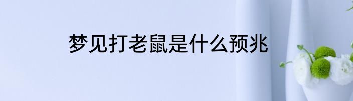 梦见打老鼠是什么预兆