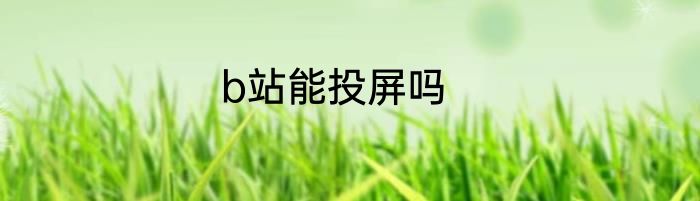 b站能投屏吗