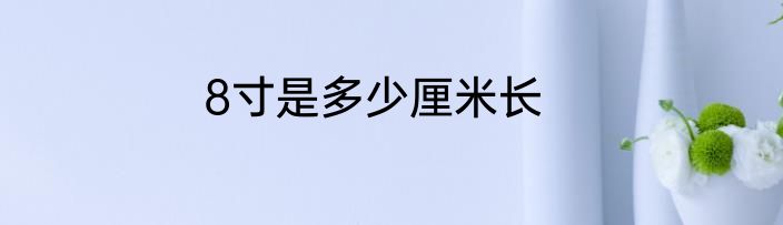 8寸是多少厘米长