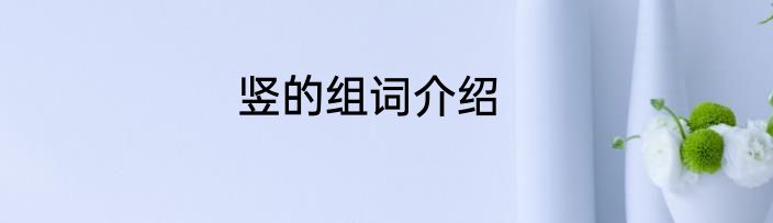 竖的组词介绍