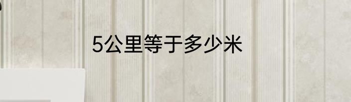 5公里等于多少米