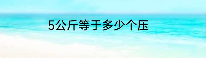 5公斤等于多少个压
