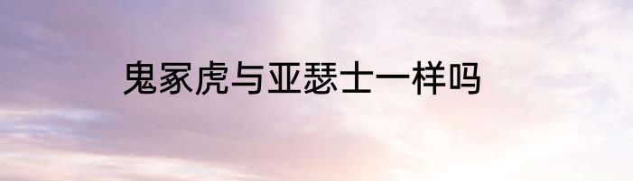 鬼冢虎与亚瑟士一样吗