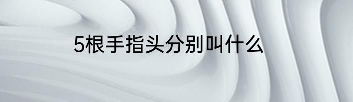 5根手指头分别叫什么