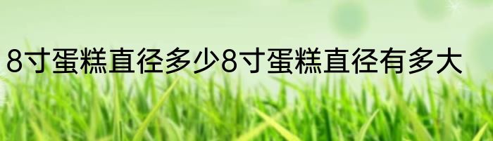 8寸蛋糕直径多少8寸蛋糕直径有多大