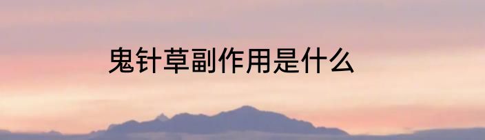 鬼针草副作用是什么